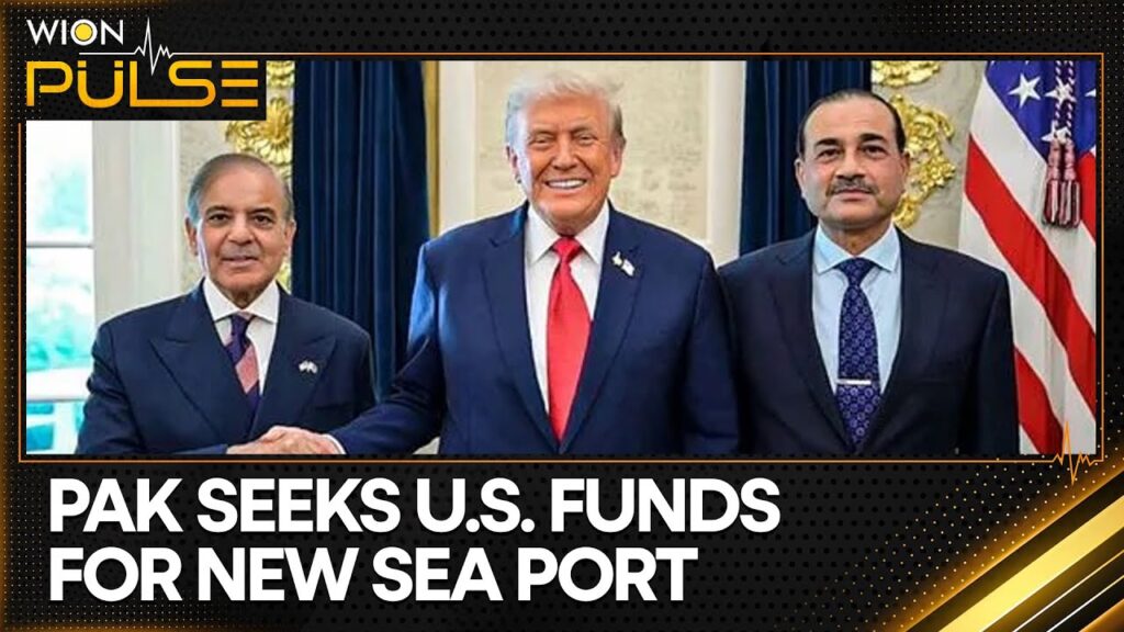 Reports: Pakistan Pitches .2 Billion Arabian Sea Port To US | WION Pulse