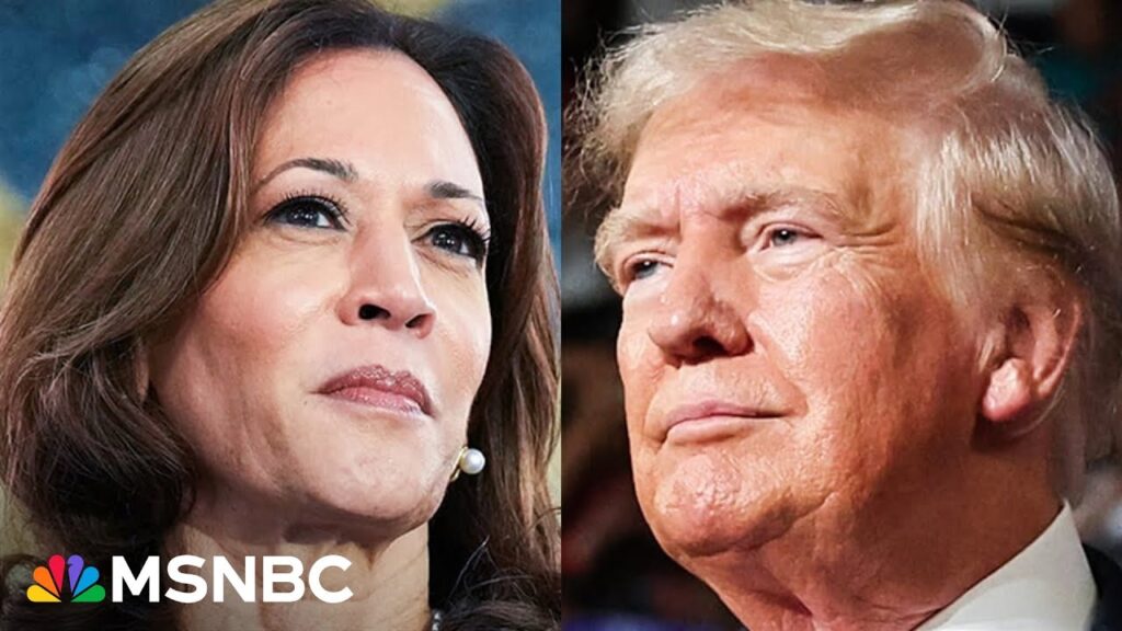 Harris blames inaction on immigration policy on Trump’s congressional pressure campaign