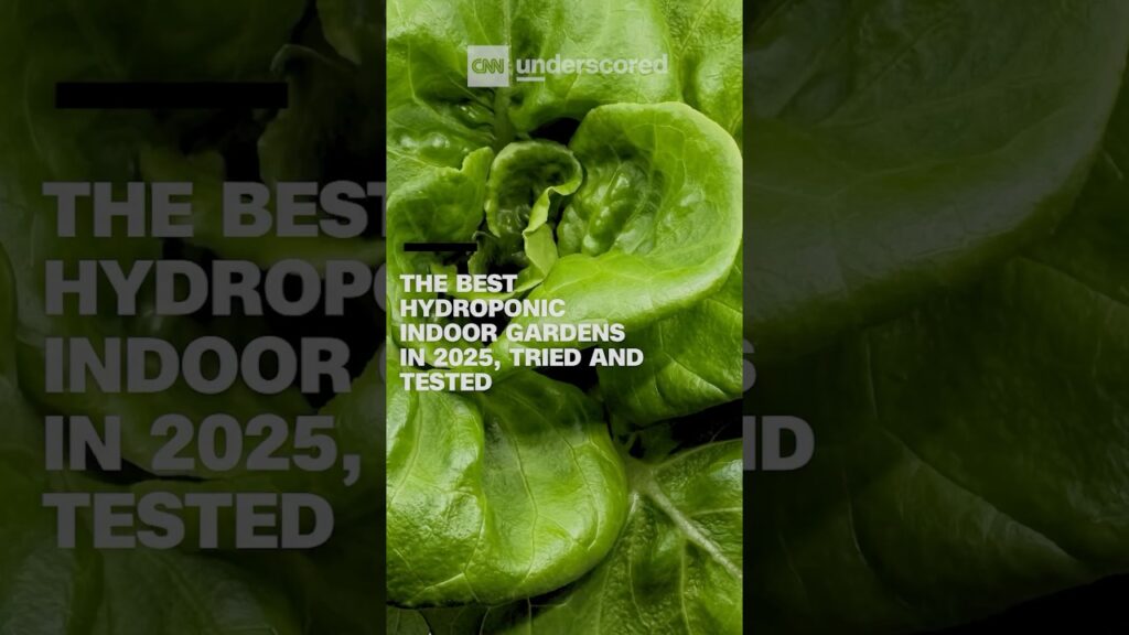 The best hydroponic indoor gardens in 2025, tried and tested