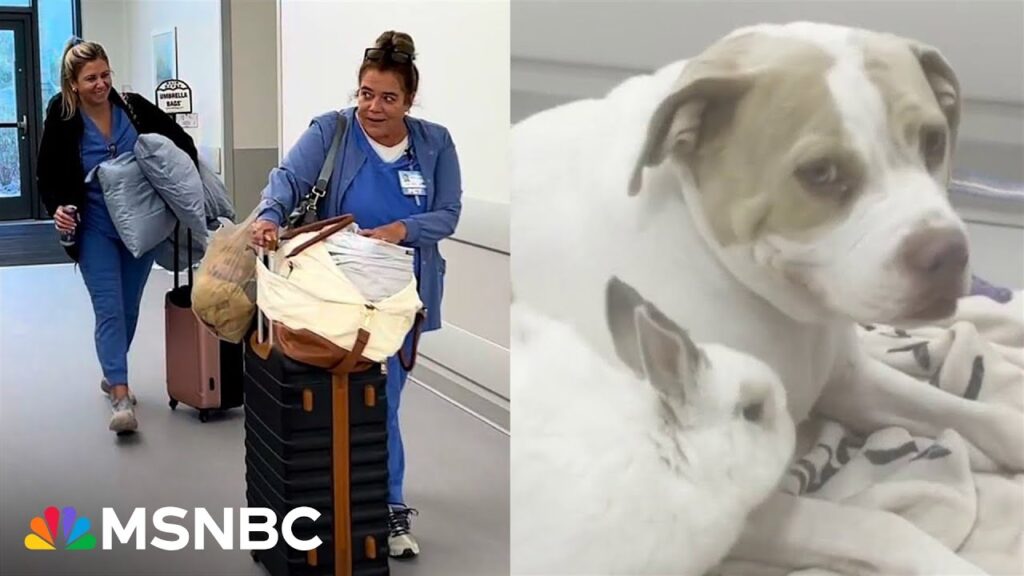 Sarasota hospital houses staff, families and even pets during Hurricane Milton