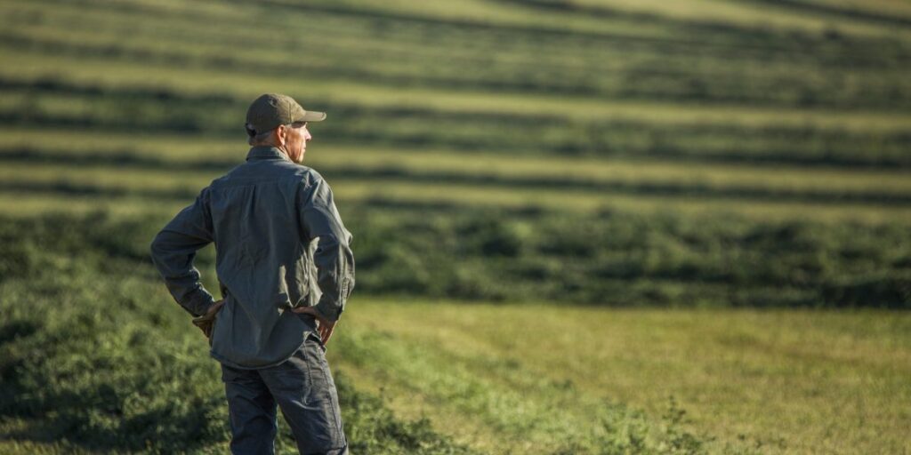Farm bankruptcies are soaring amid low crop prices, while Trump considers bailout of up to  billion