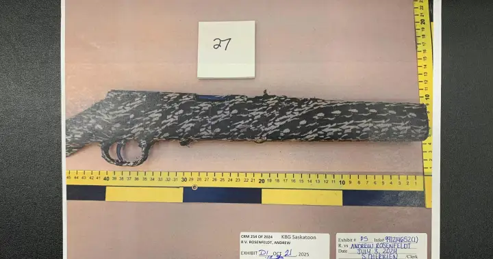 Nykera Brown’s autopsy and ballistic analysis examined on day 4 of Rosenfeldt trial – Saskatoon Nykera Brown’s autopsy and ballistic analysis examined on day 4 of Rosenfeldt trial – Saskatoon