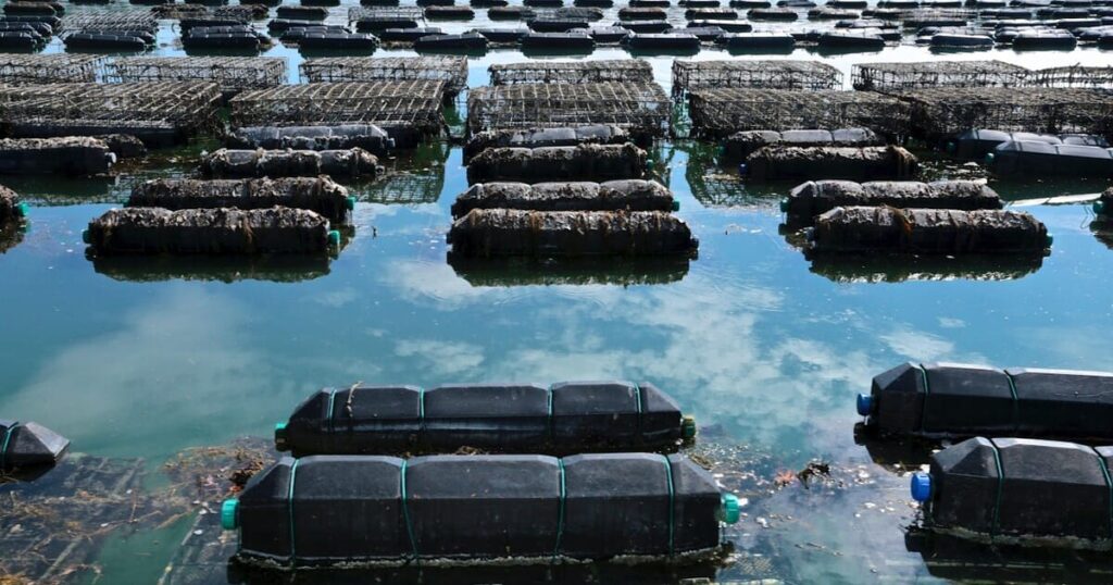 Maine gears up for Blue Economy Investment Summit