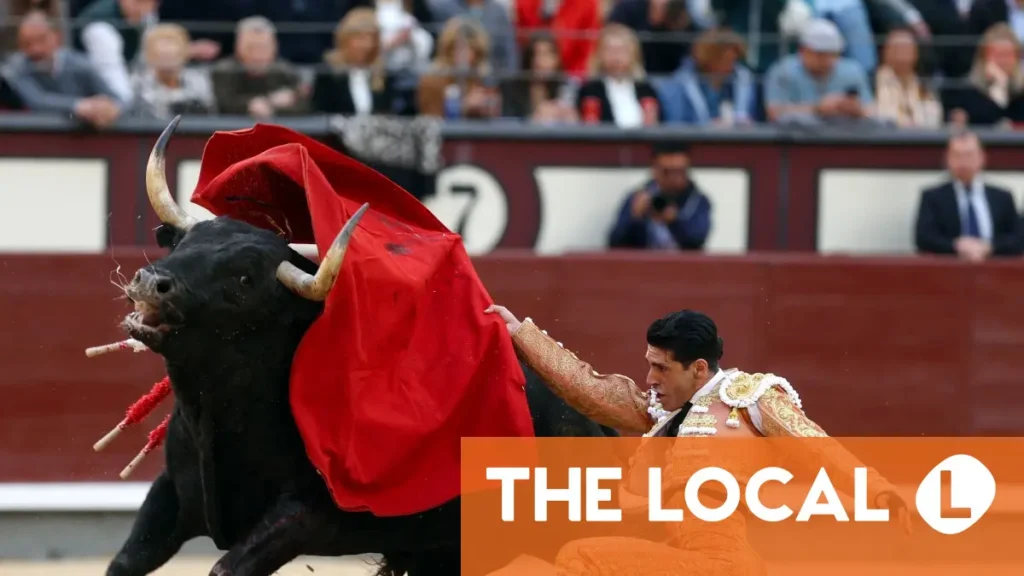Don’t expect bullfighting to be banned anytime soon